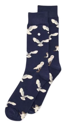 Alfredo Gonzales Sokken Owl