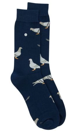 Alfredo Gonzales Sokken Pigeon