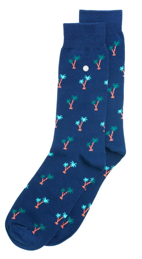 Alfredo Gonzales Sokken Palm Springs Night Sky 1 Alfredo Gonzales Sokken Palm Springs Night Sky