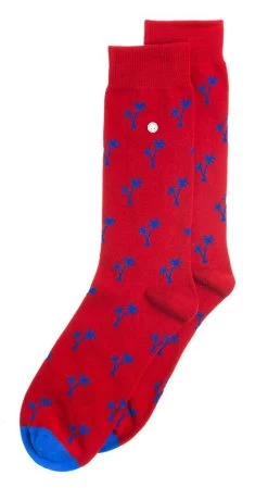 Alfredo Gonzales Sokken Palm Springs Reds